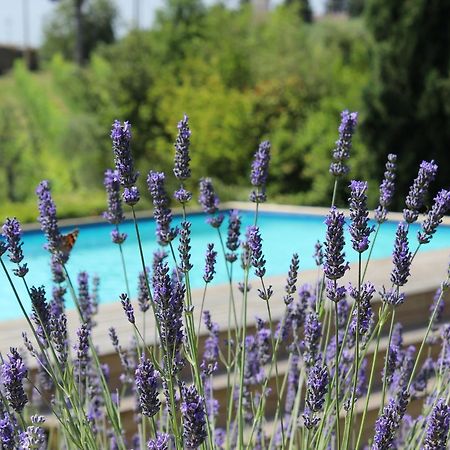 Villa Privata Per Famiglie O Amici Barberino Val d'Elsa Exterior photo